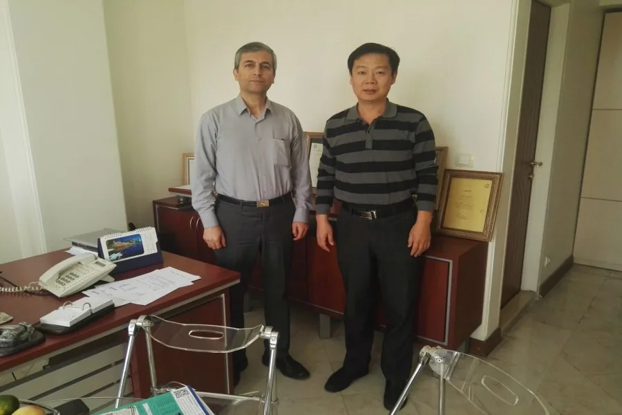 Nanjing Iron and Steel Co., Ltd.